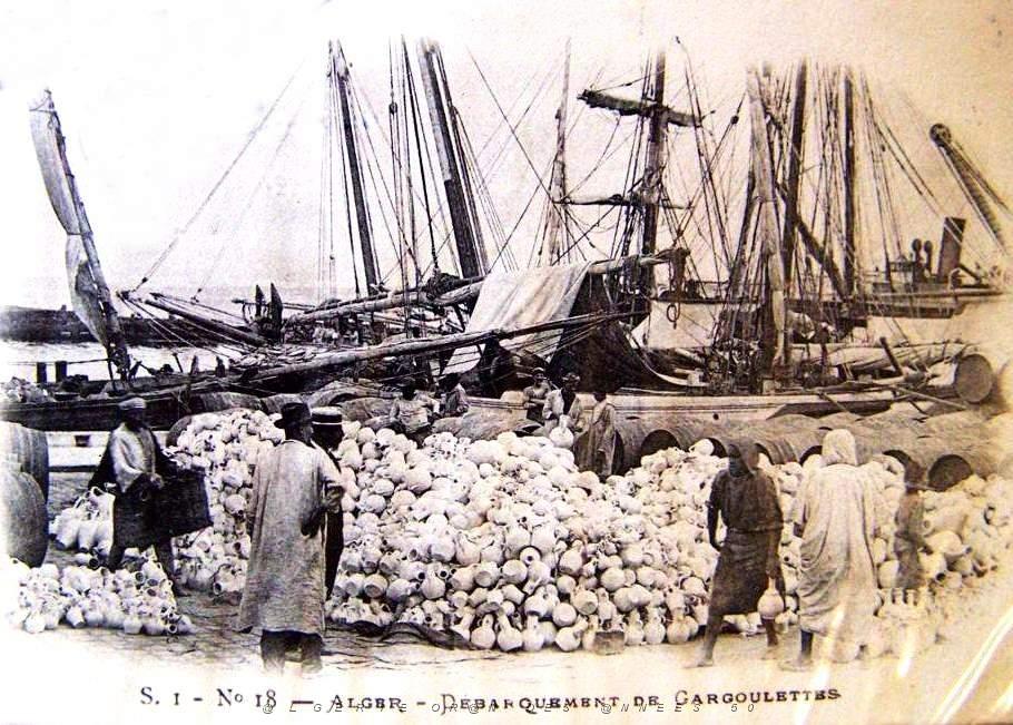 Images d'Algerie 071.jpg